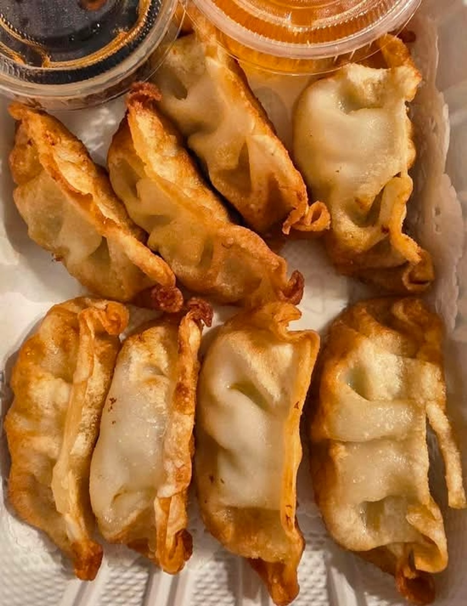 Gyoza