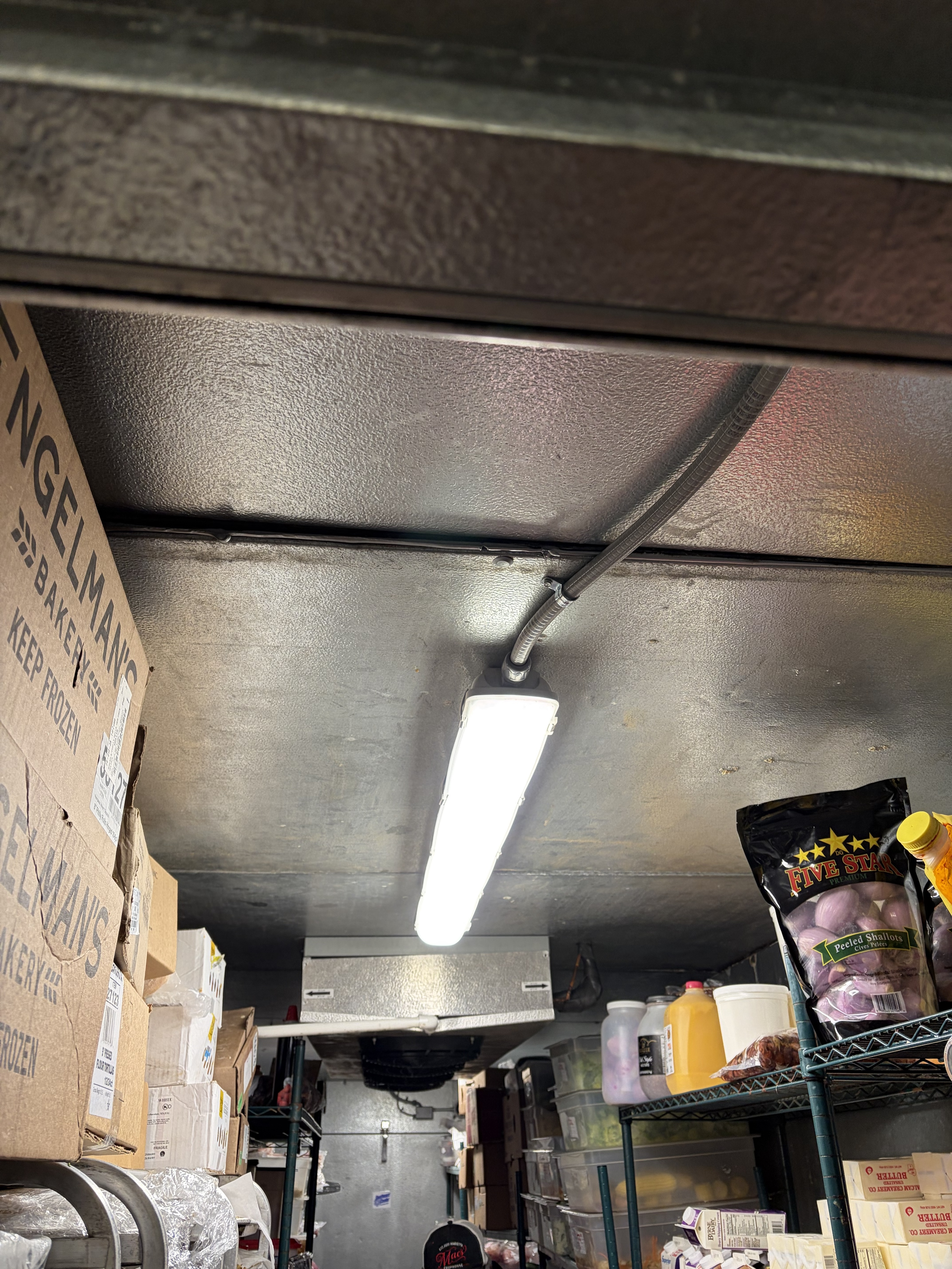 Professional Plumbing & Electrical Services Image