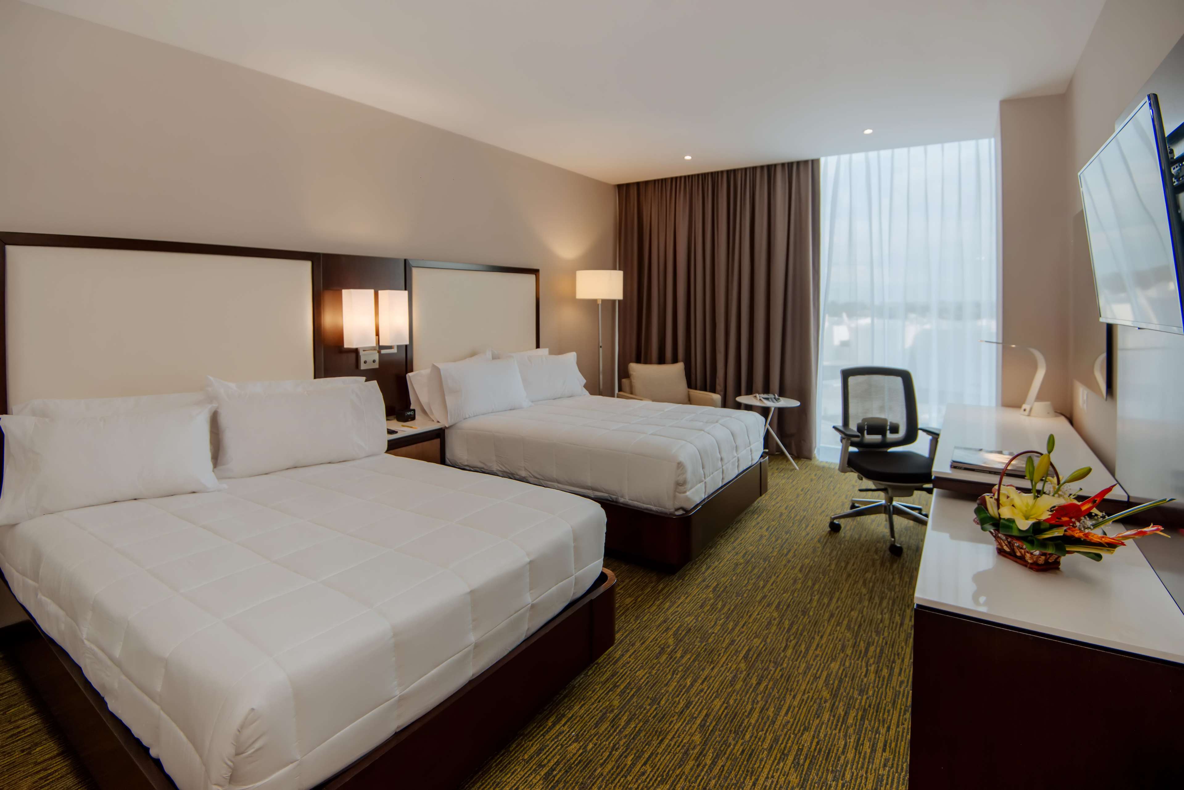Images Hilton Garden Inn Puebla Angelópolis