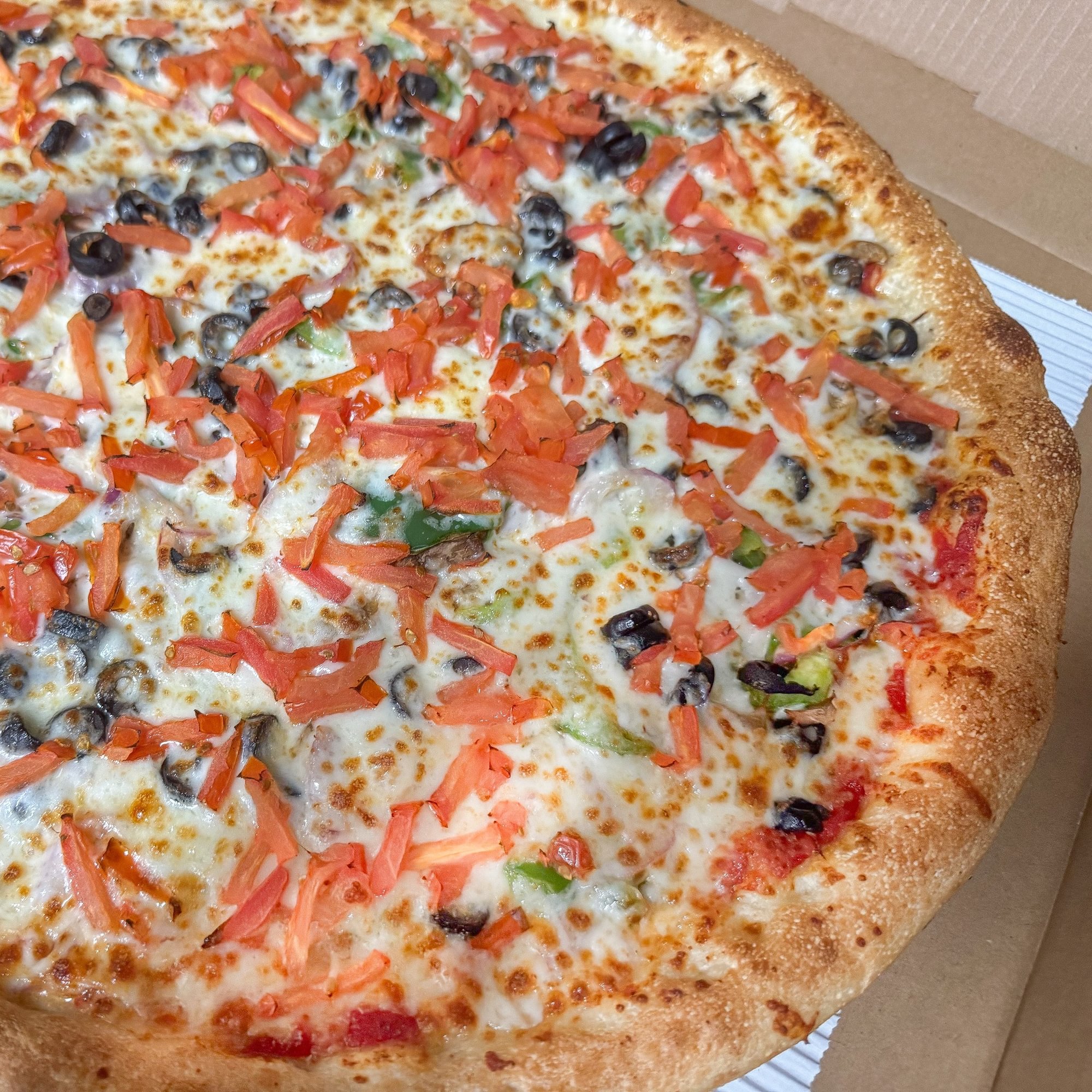 Vegetarian Special Pizza (Medium 12")