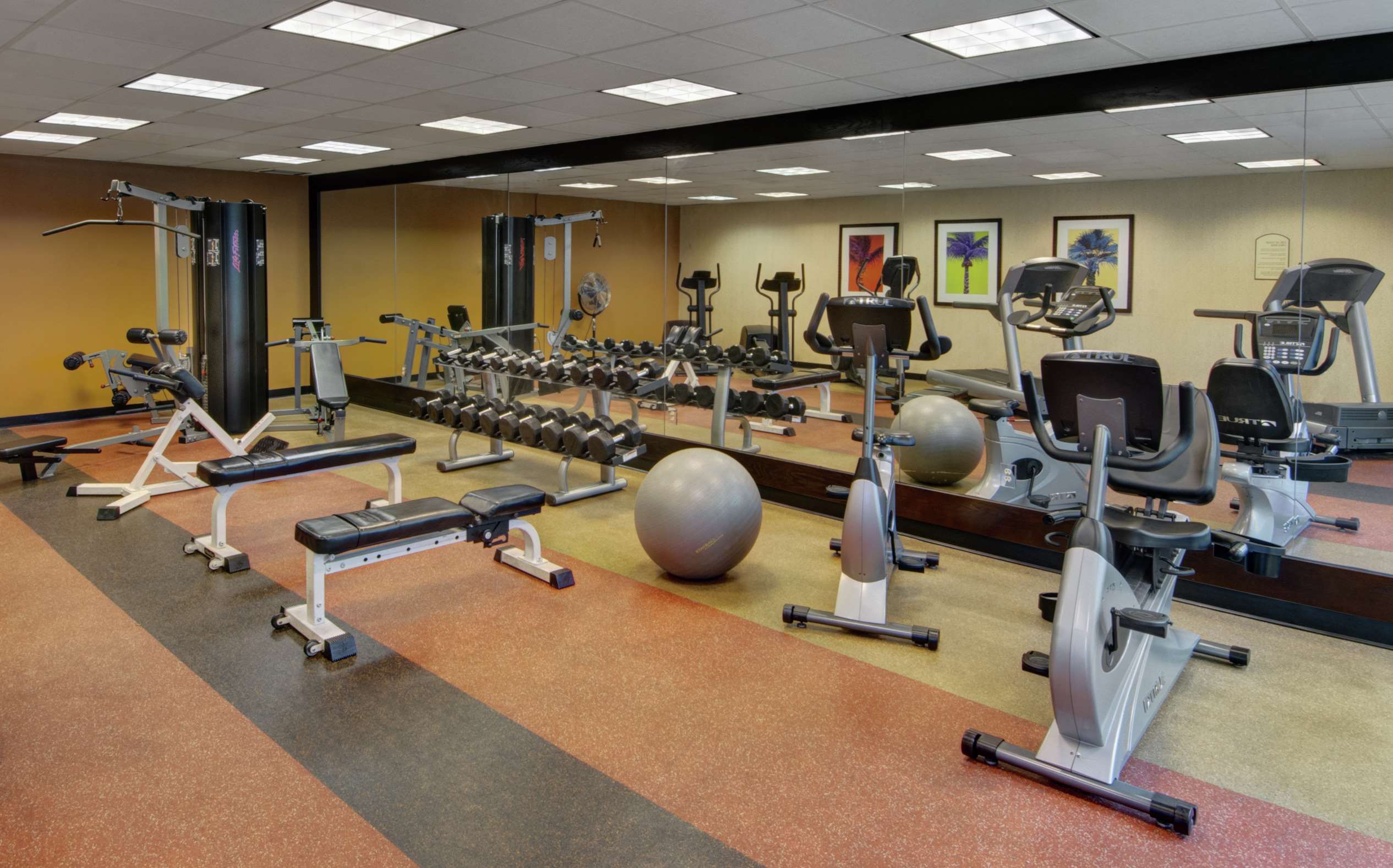 Health club  fitness center  gym