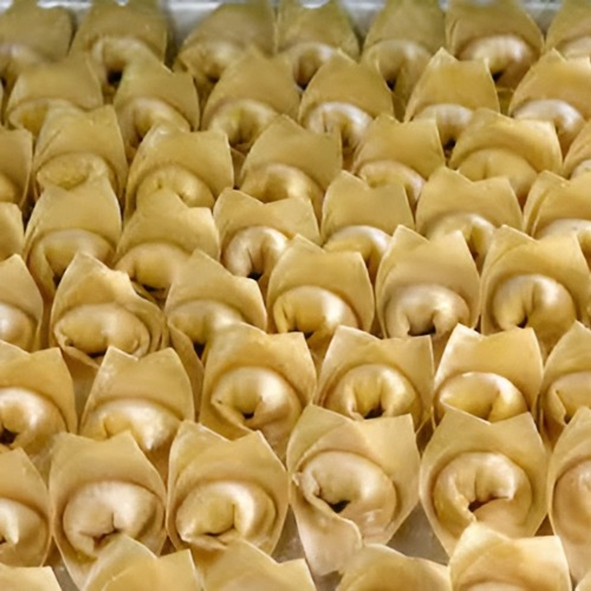 Cheese Wonton (8)
