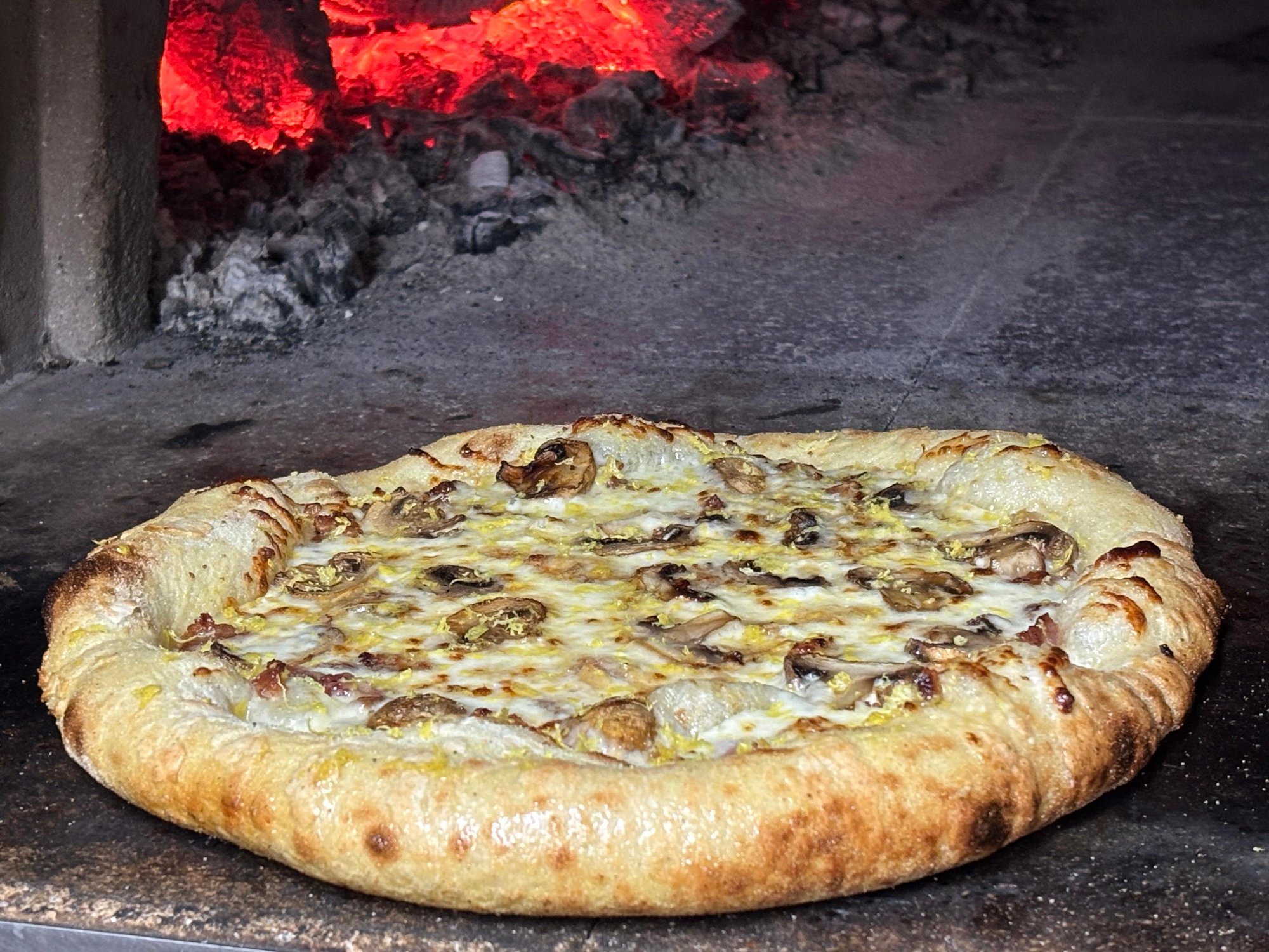 Funghi Bacon Pizza (Mushroom, Bacon, Alfredo, Citris zest)