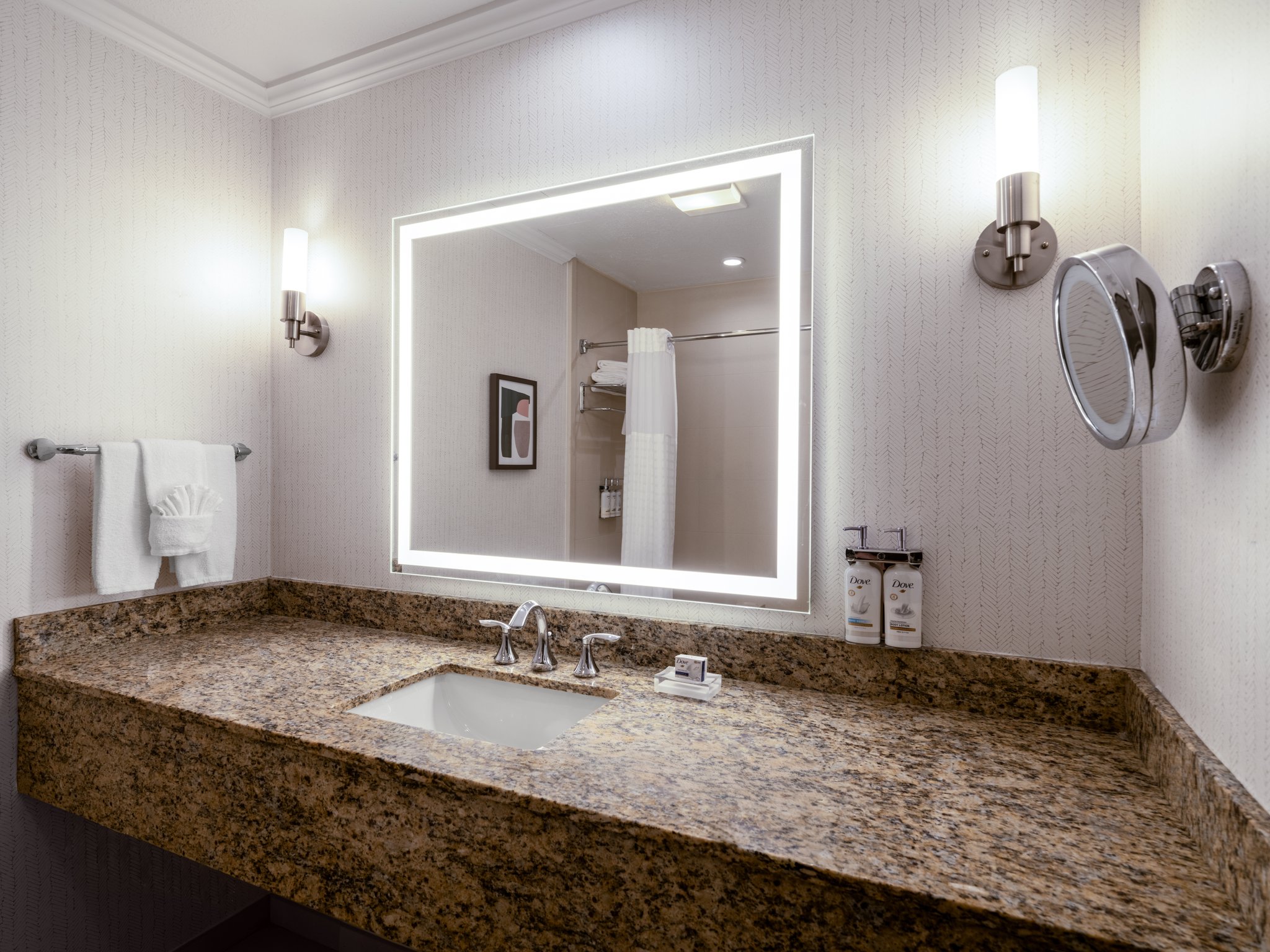 Holiday Inn & Suites Chicago Northwest - Elgin by IHG Image