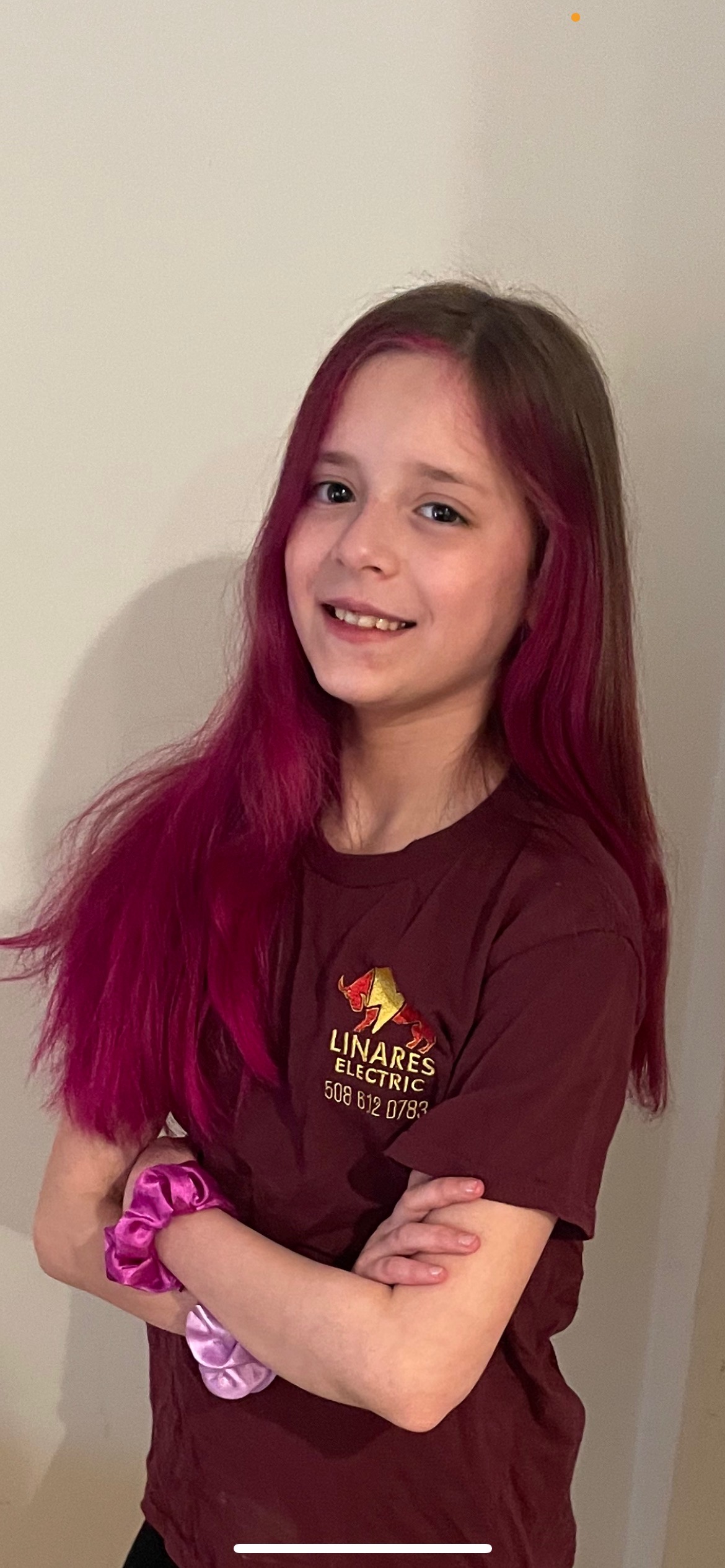 Linares Electric Logo