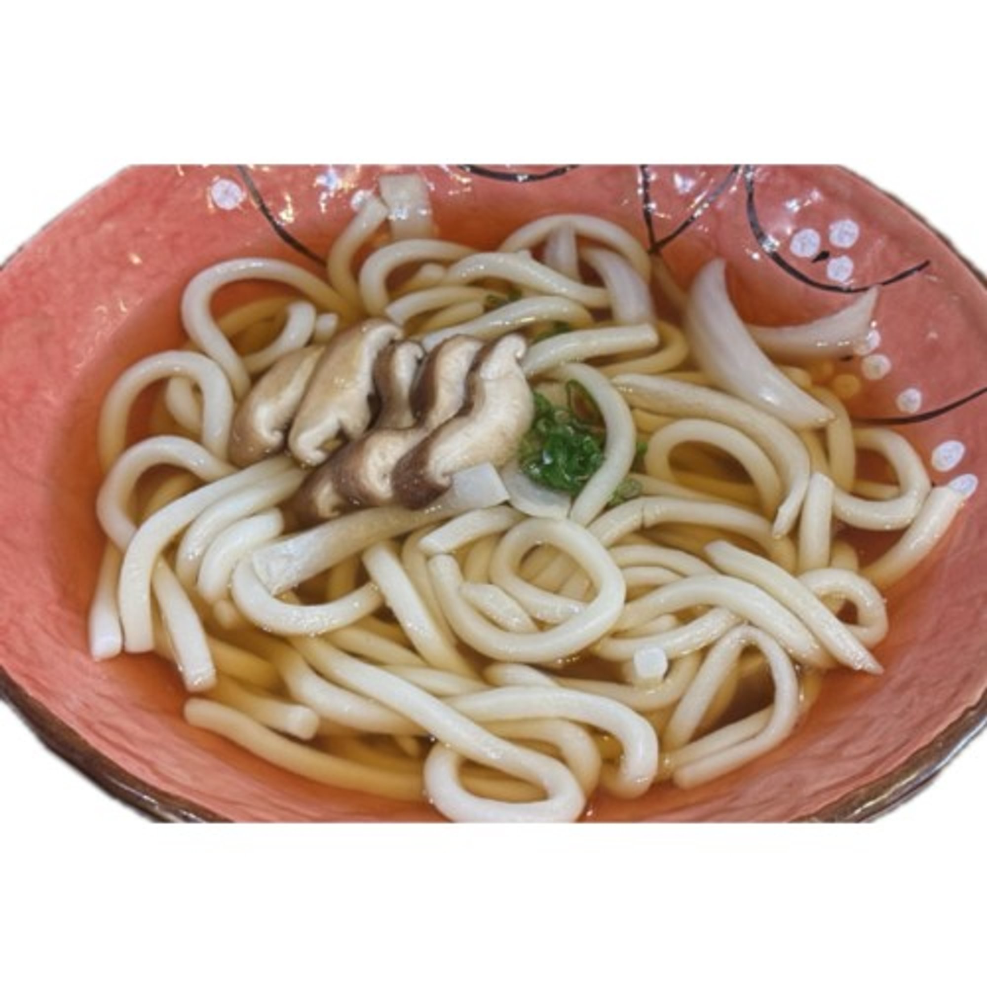 Soup Udon