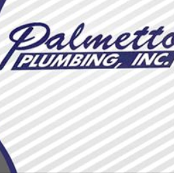 Palmetto coupon code