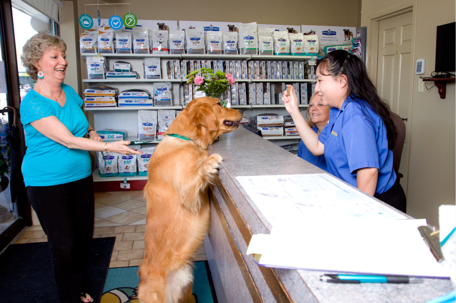 Images Markham Veterinary Clinic