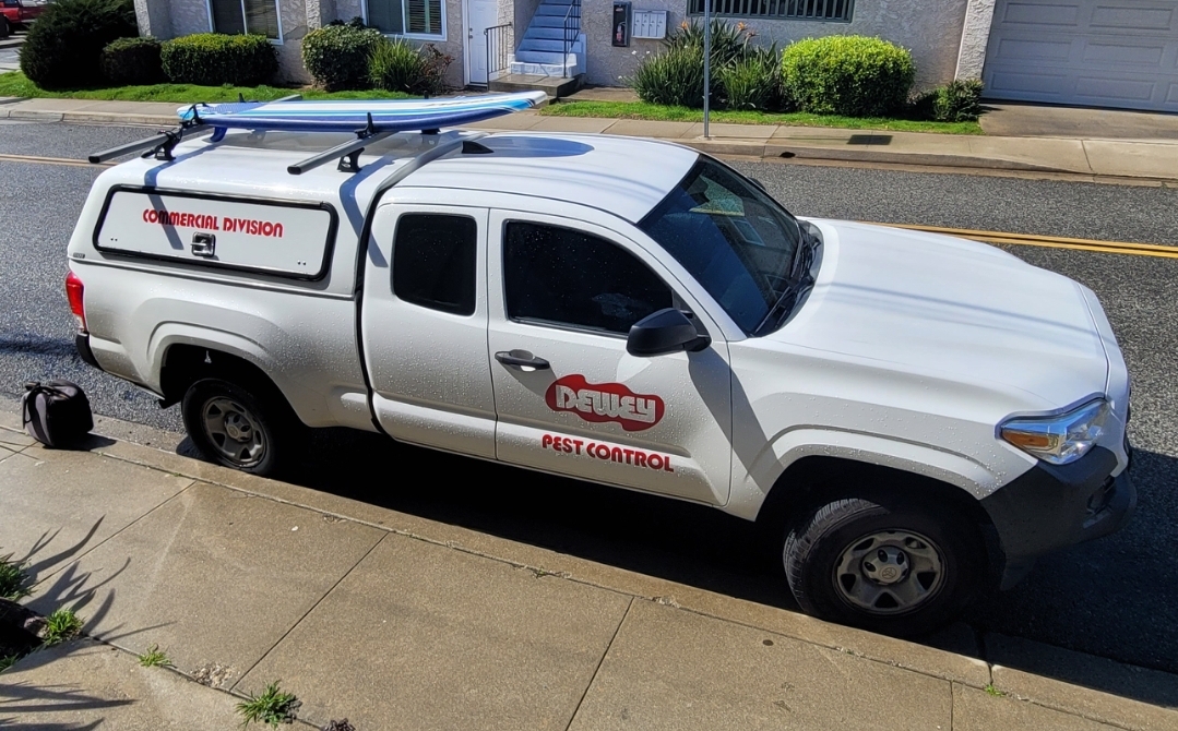 Dewey Pest & Termite Control Image