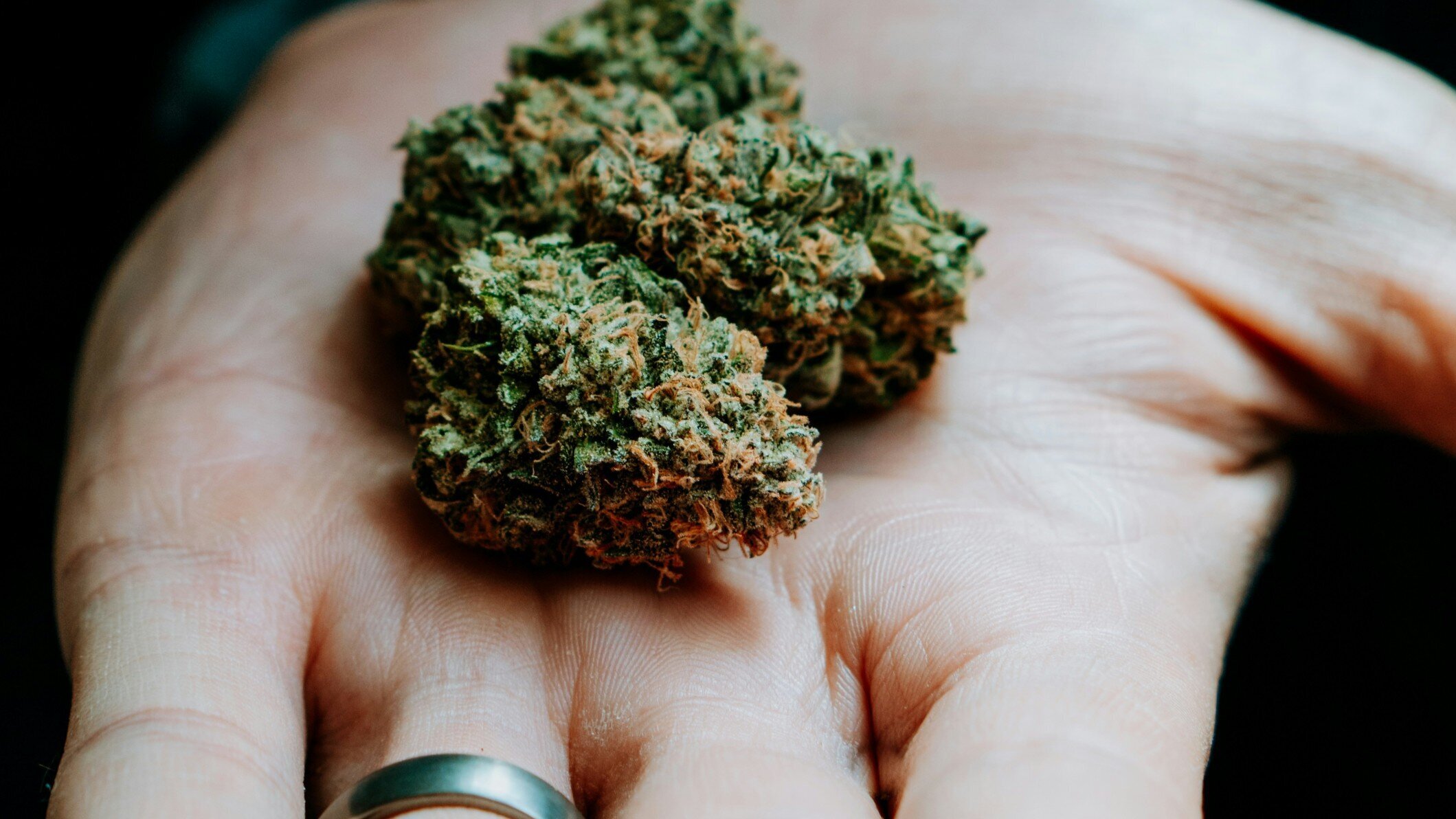 DC Weed Dispensary & Cannabis Delivery Image