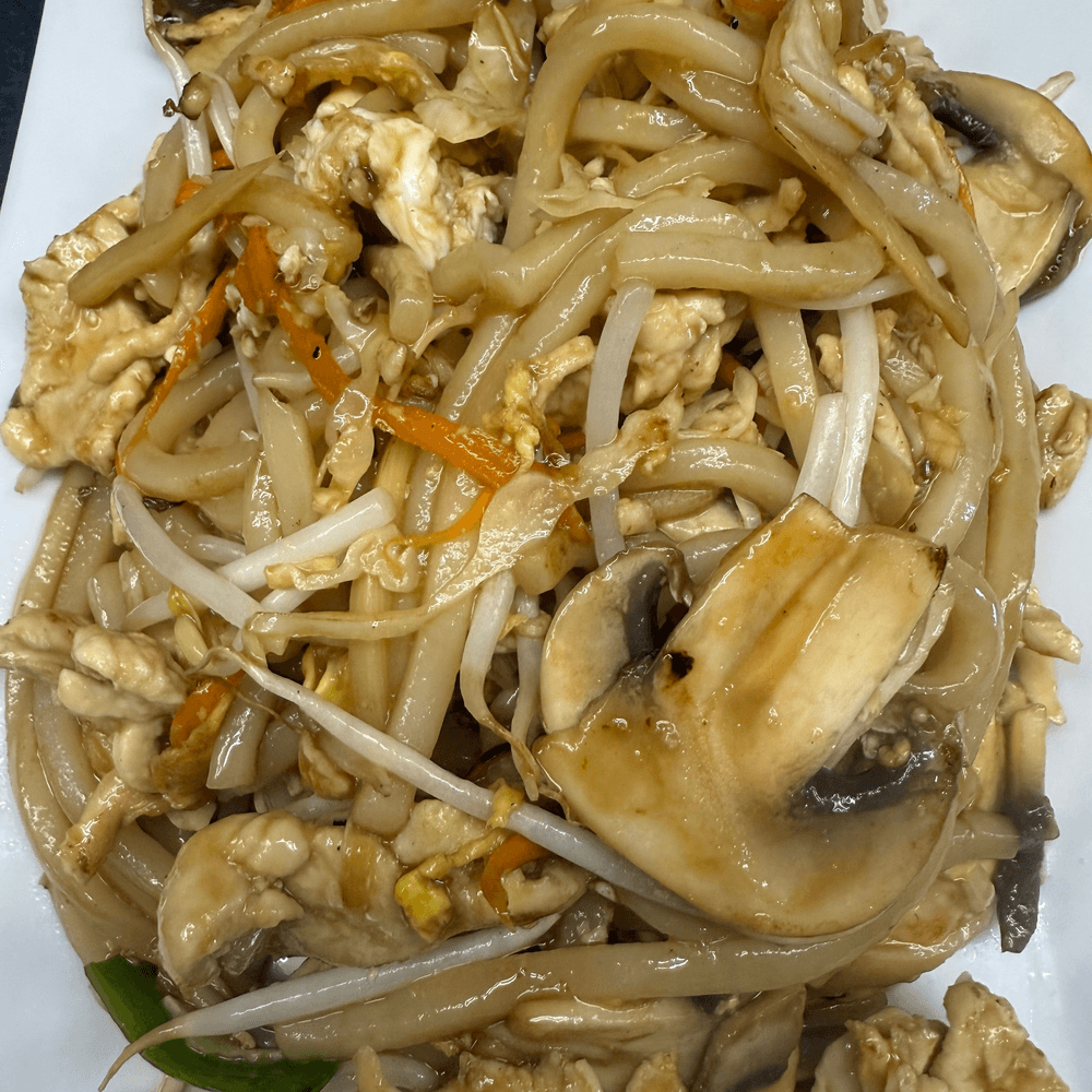 Udon Noodles Stir fly