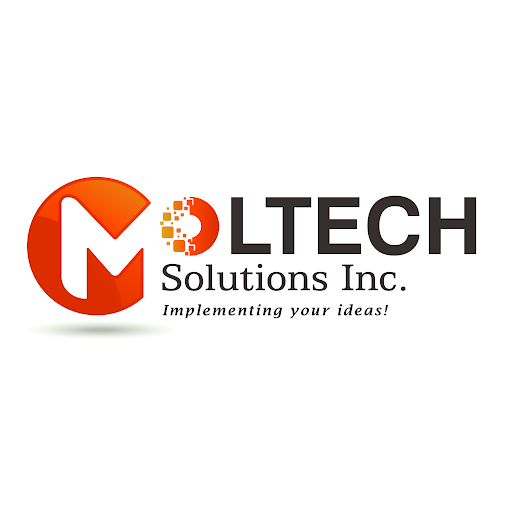 Moltech Solutions Inc. | AI Consulting & Custom Software Development Texas