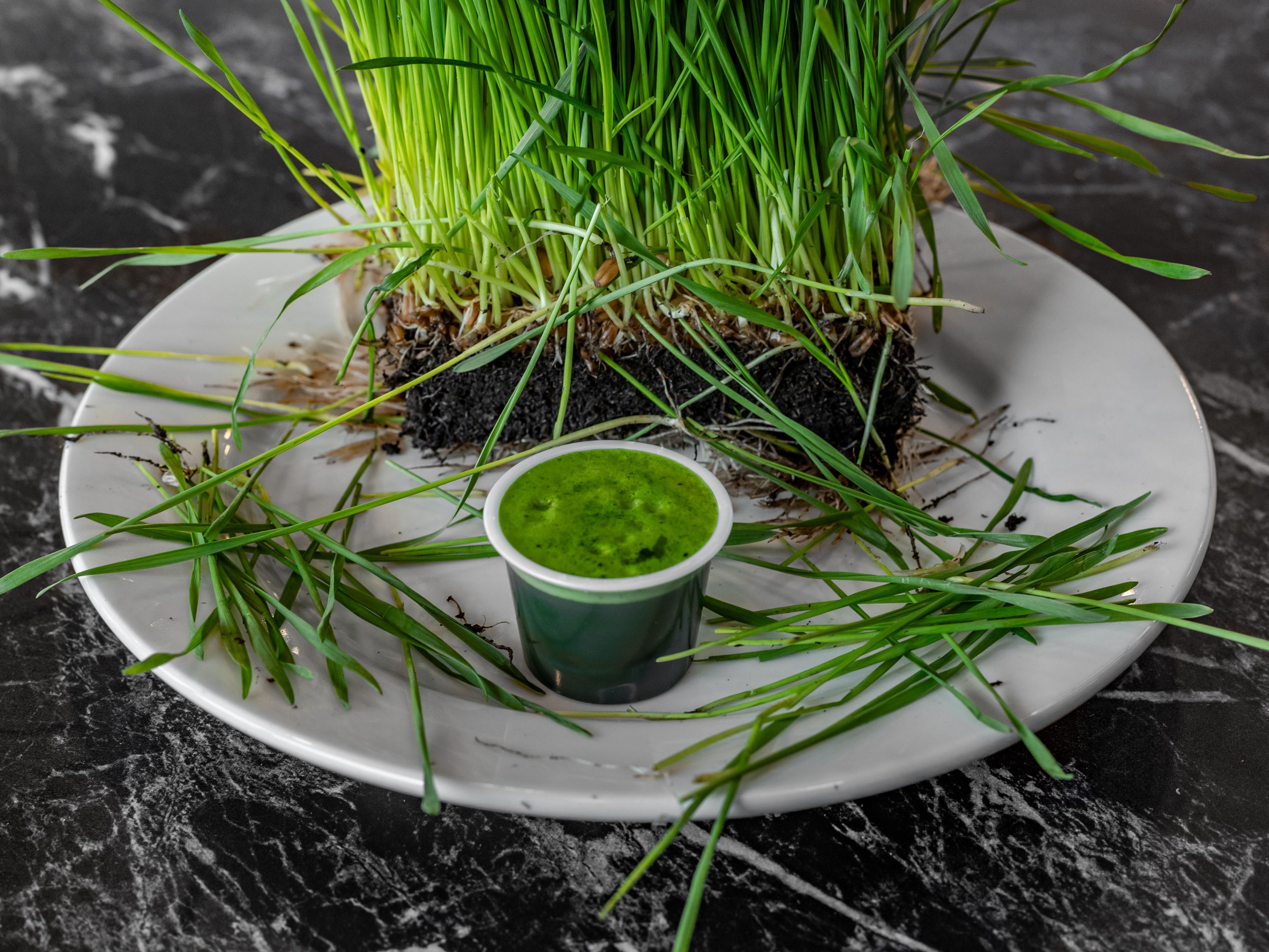 Wheatgrass Shot