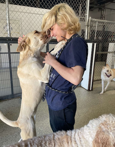 Playtime Pet Resort