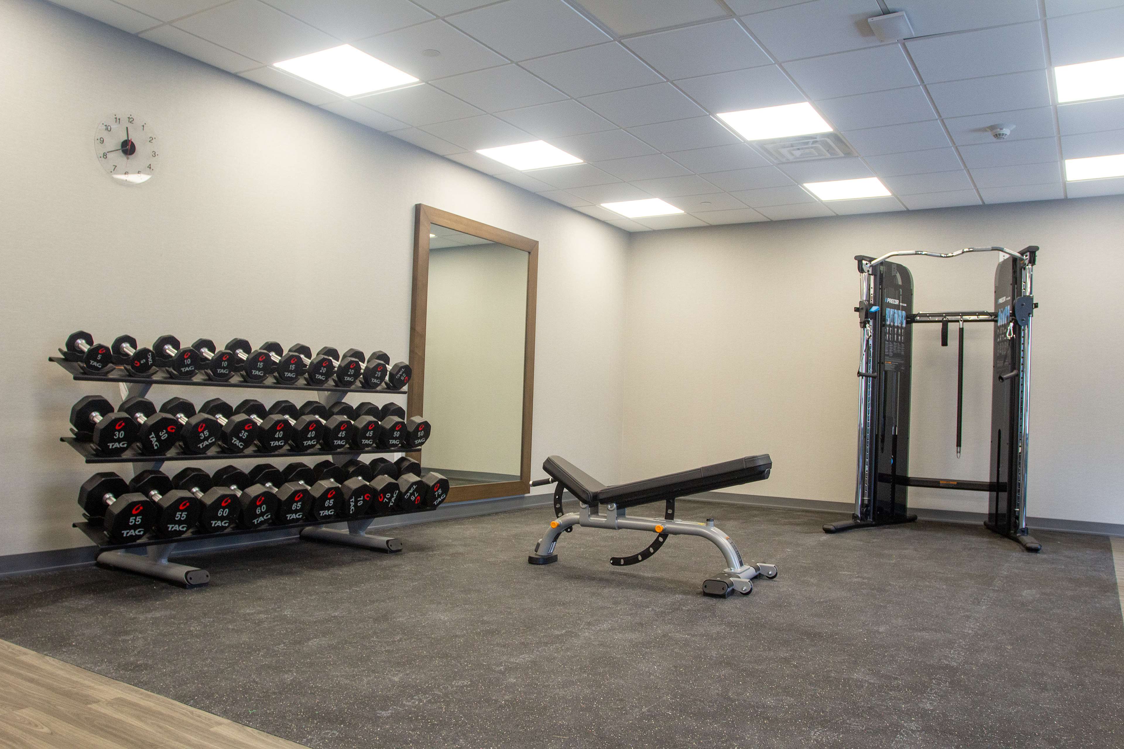 Health club  fitness center  gym