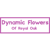 Dynamic Flowers Of Royal Oak Photo