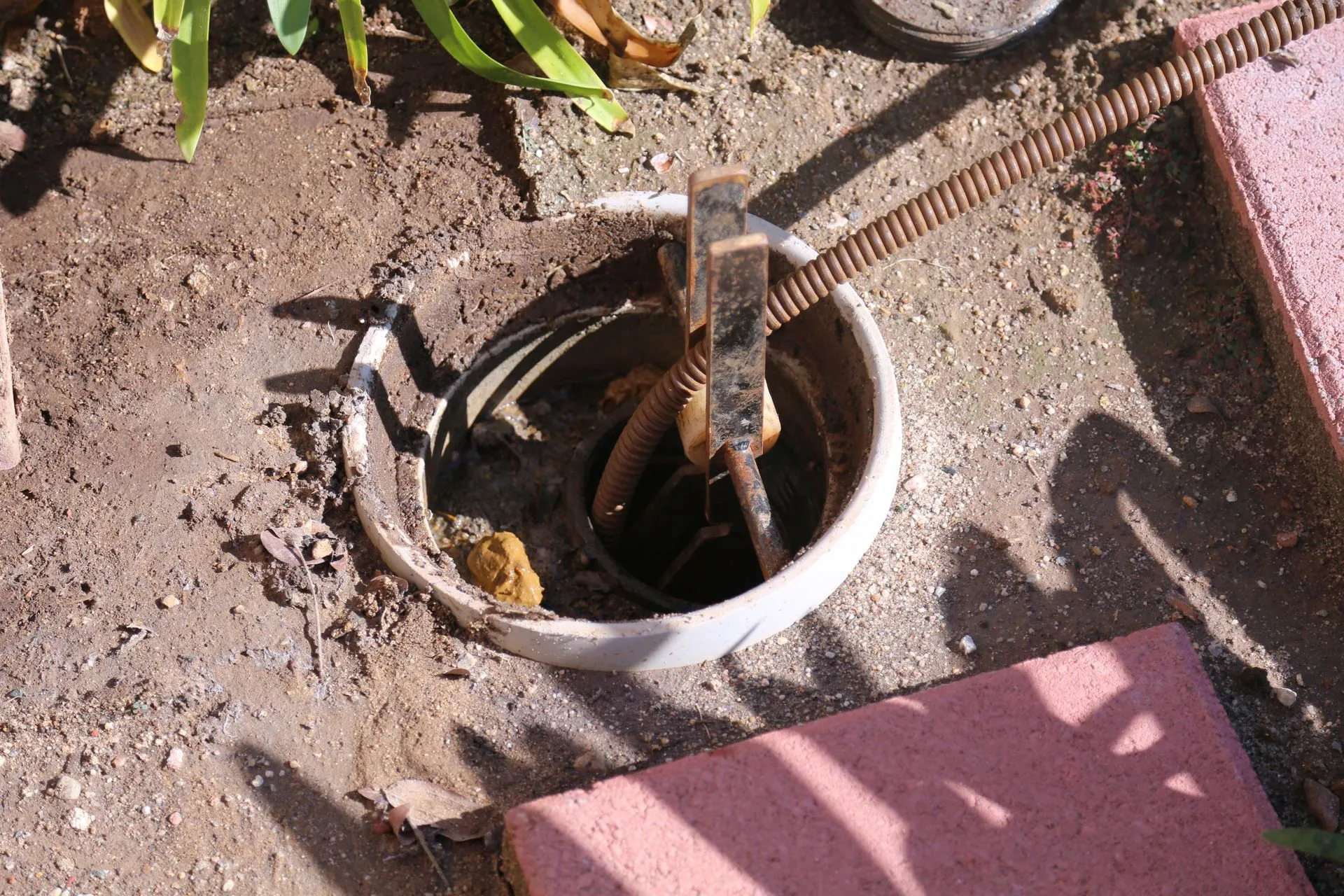 Sewer Repair