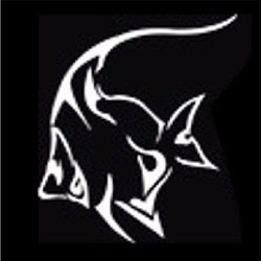 Normal Aquatics Logo