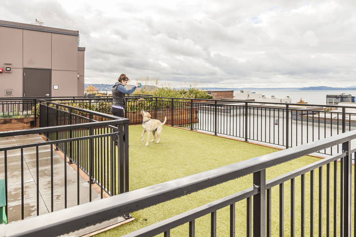 Latitude Apartments Image