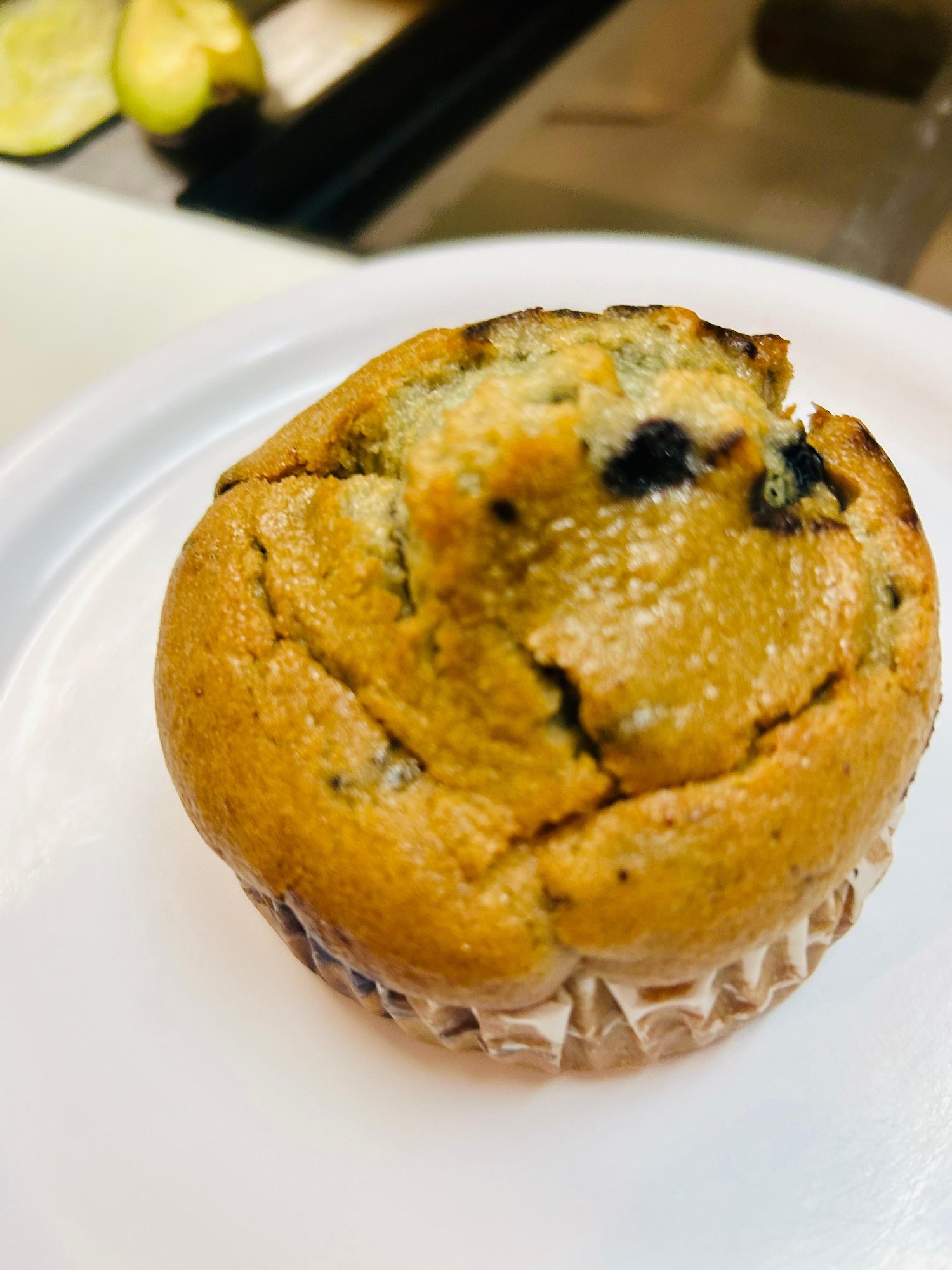 Blueberry Muffin
