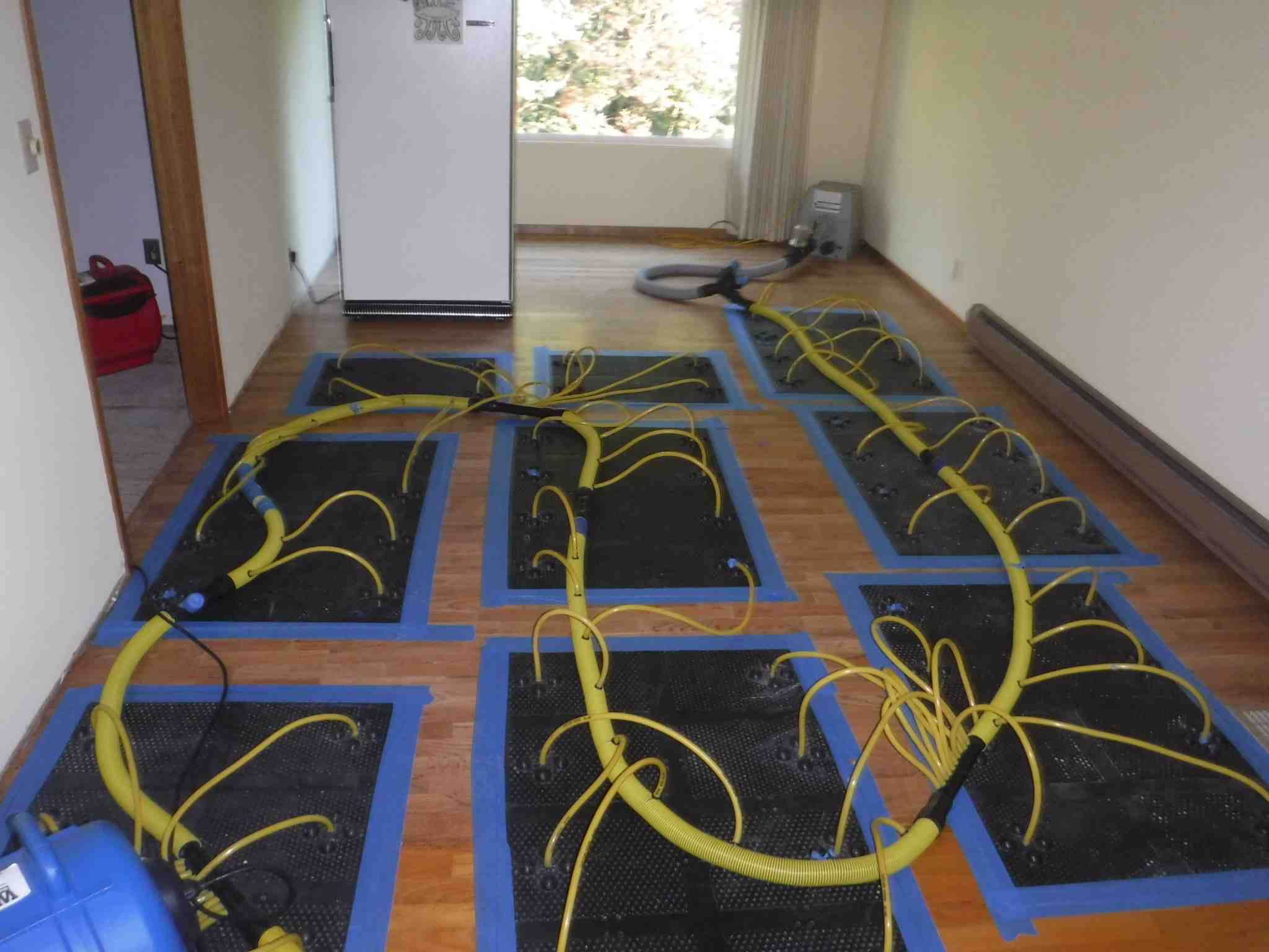 Washington Water Damage & Cleaning Services Photo