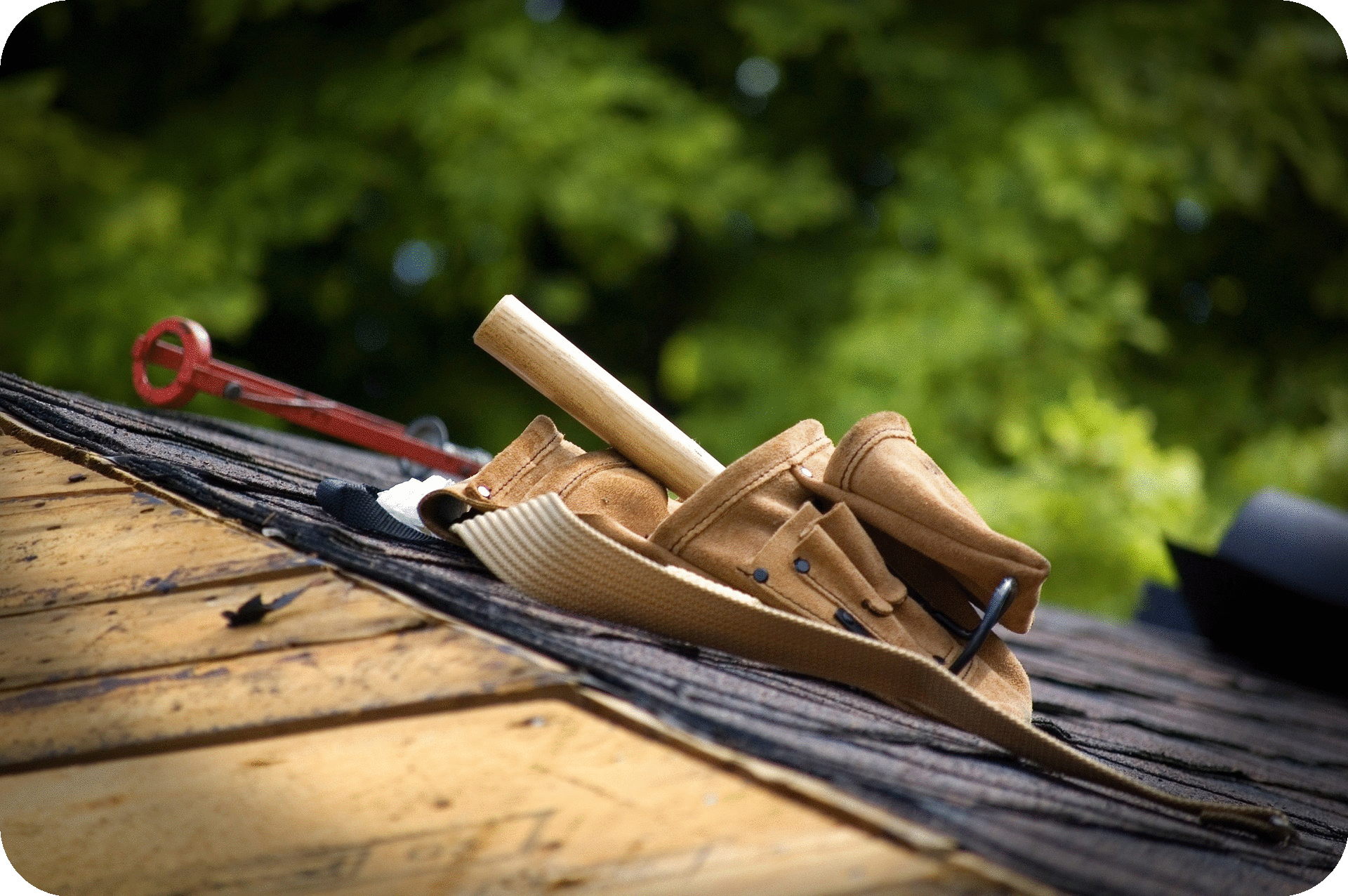 CBX Roofs Photo