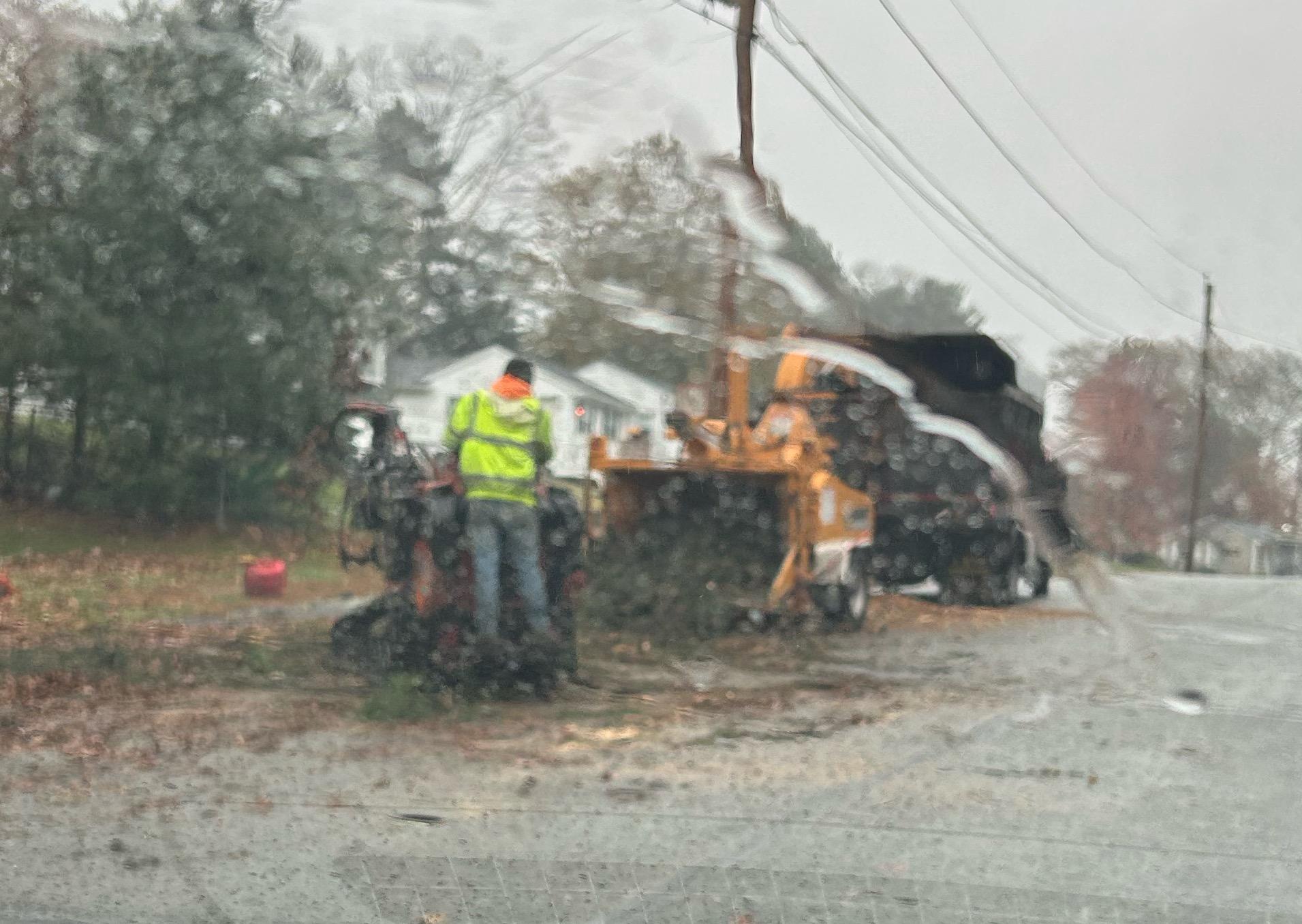 McDonald Tree Service Image