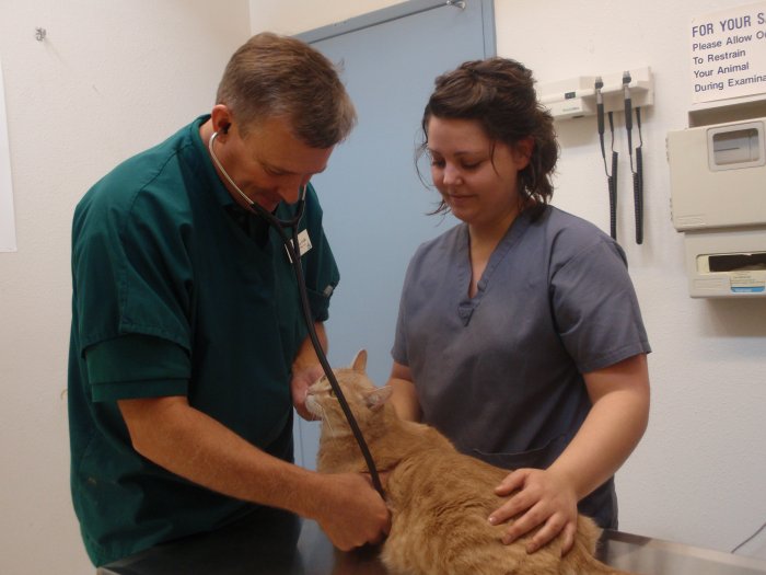 VCA Battle Ground Animal Hospital Photo