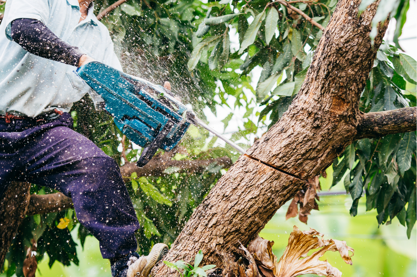 Precise Landscaping Services