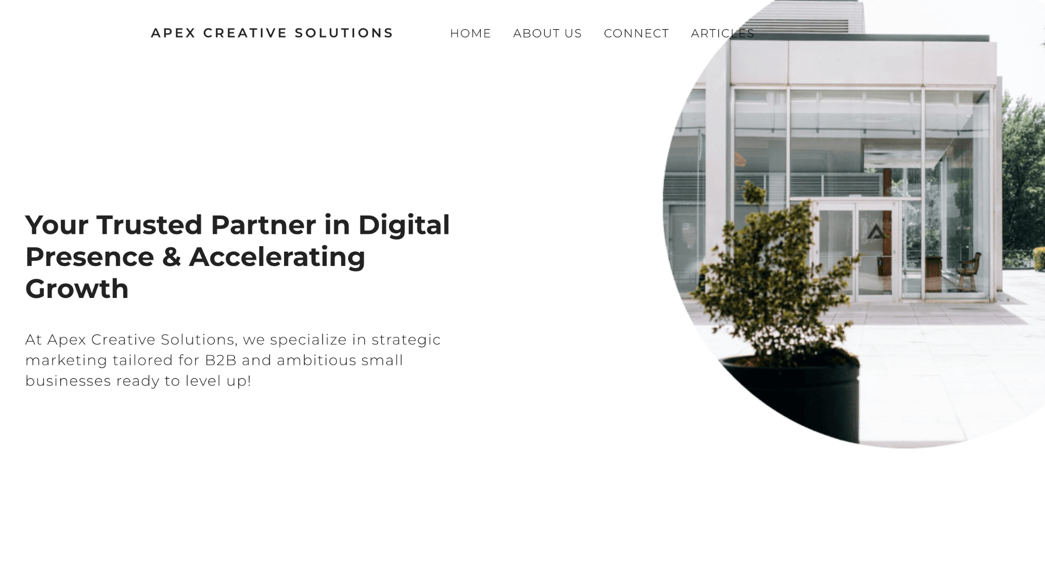Apex Creative Agency Image