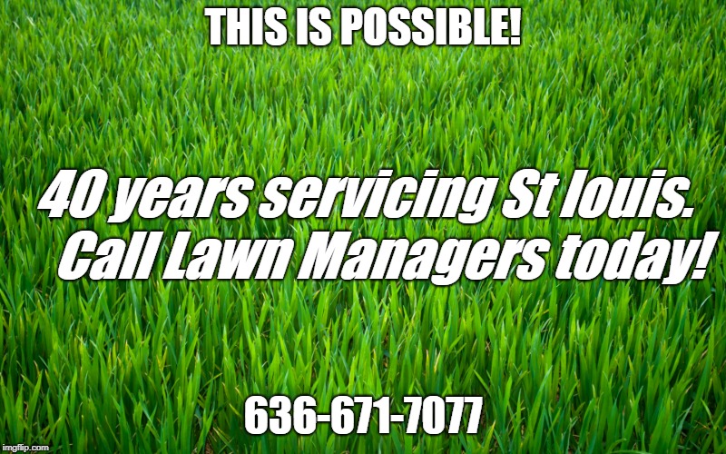 Lawn Managers Photo