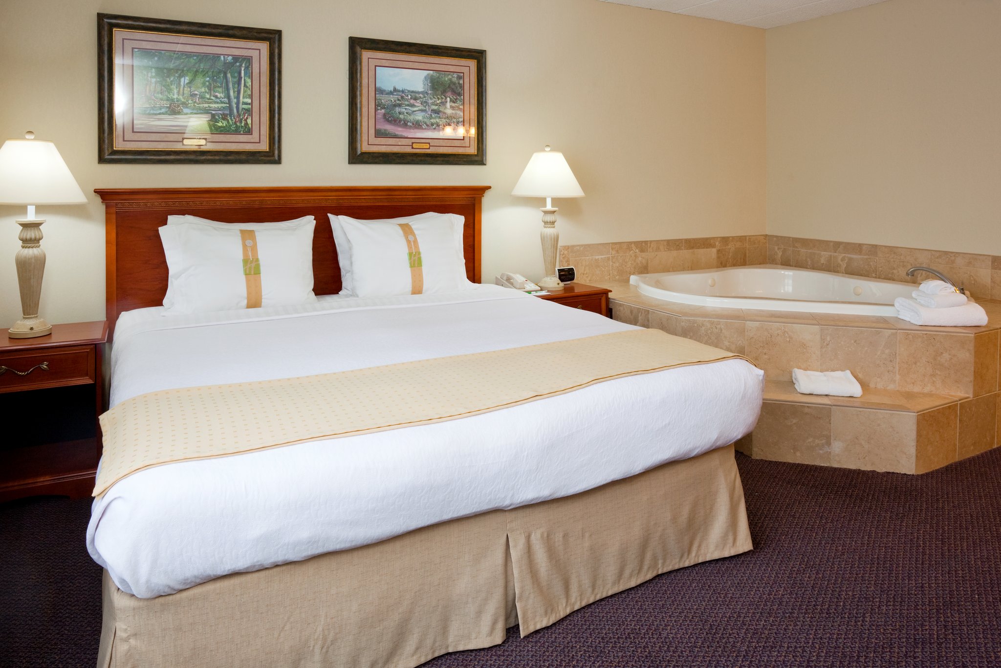 Holiday Inn & Suites St. Cloud by IHG Image