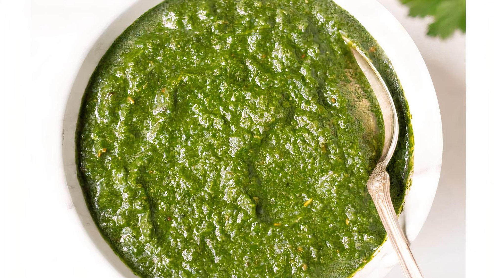 Cilantro Mint Chutney (Vegan)