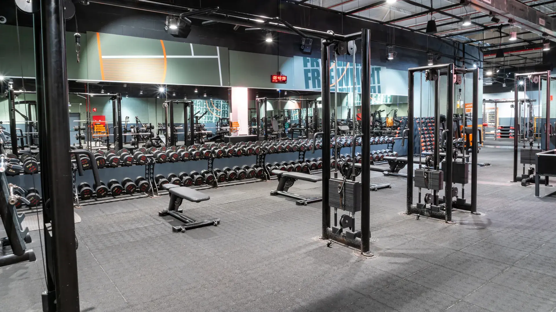 Galería de imágenes