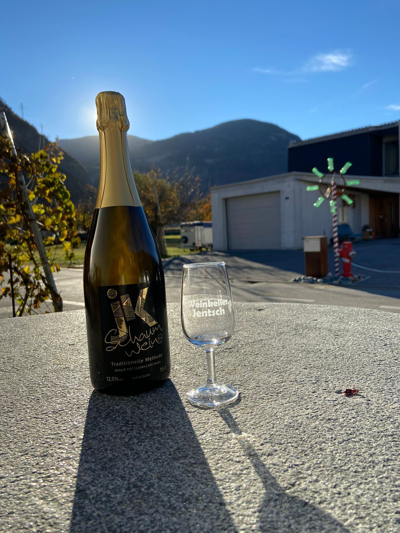 🌿 Rebwanderung – Weinlandschaft entdecken