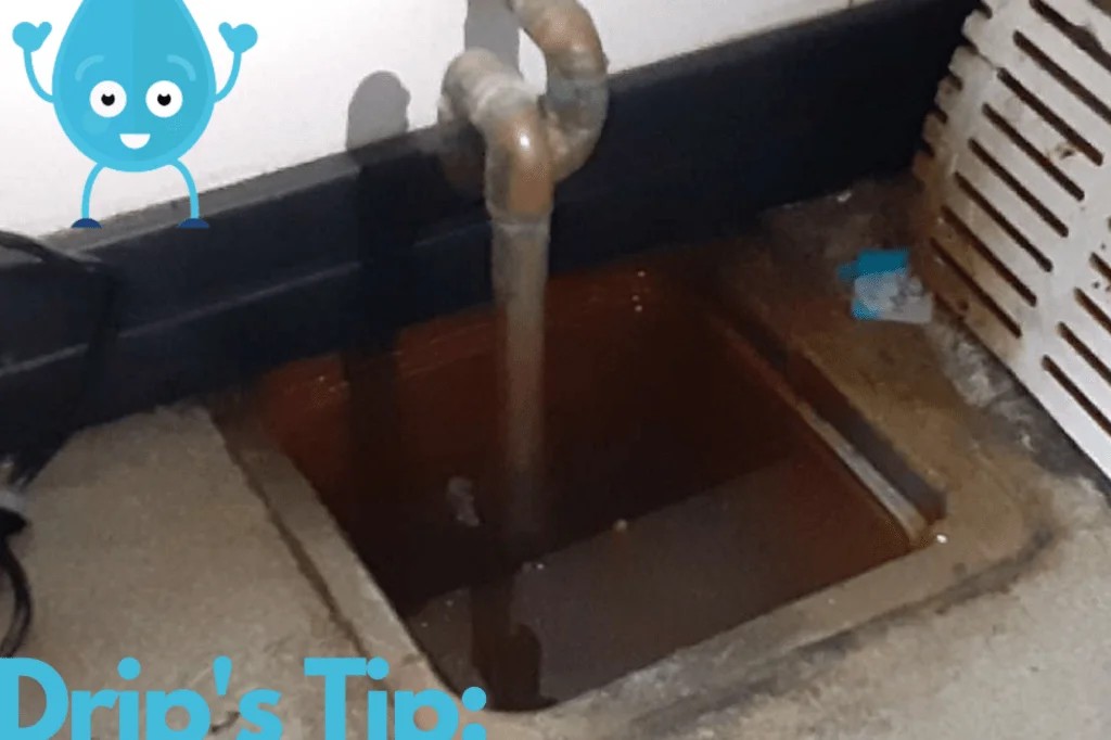 Sewer Line