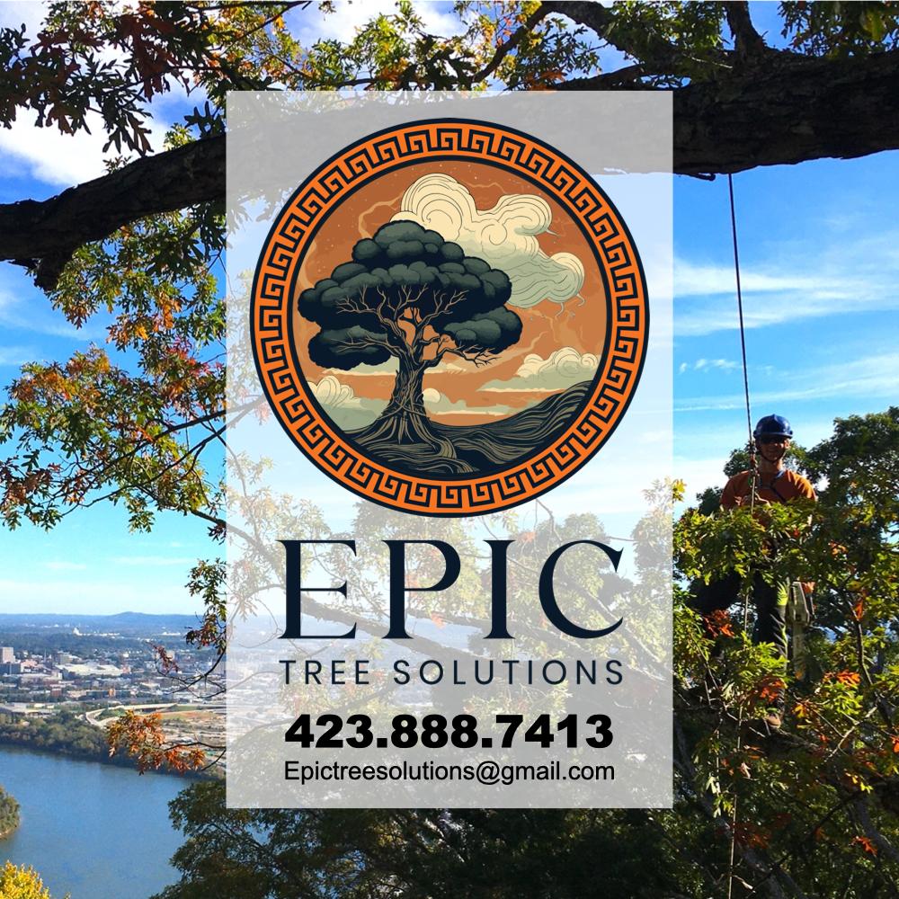 Epic Tree Solutions Image