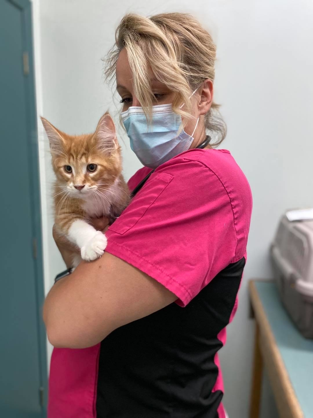 ritson veterinary clinic