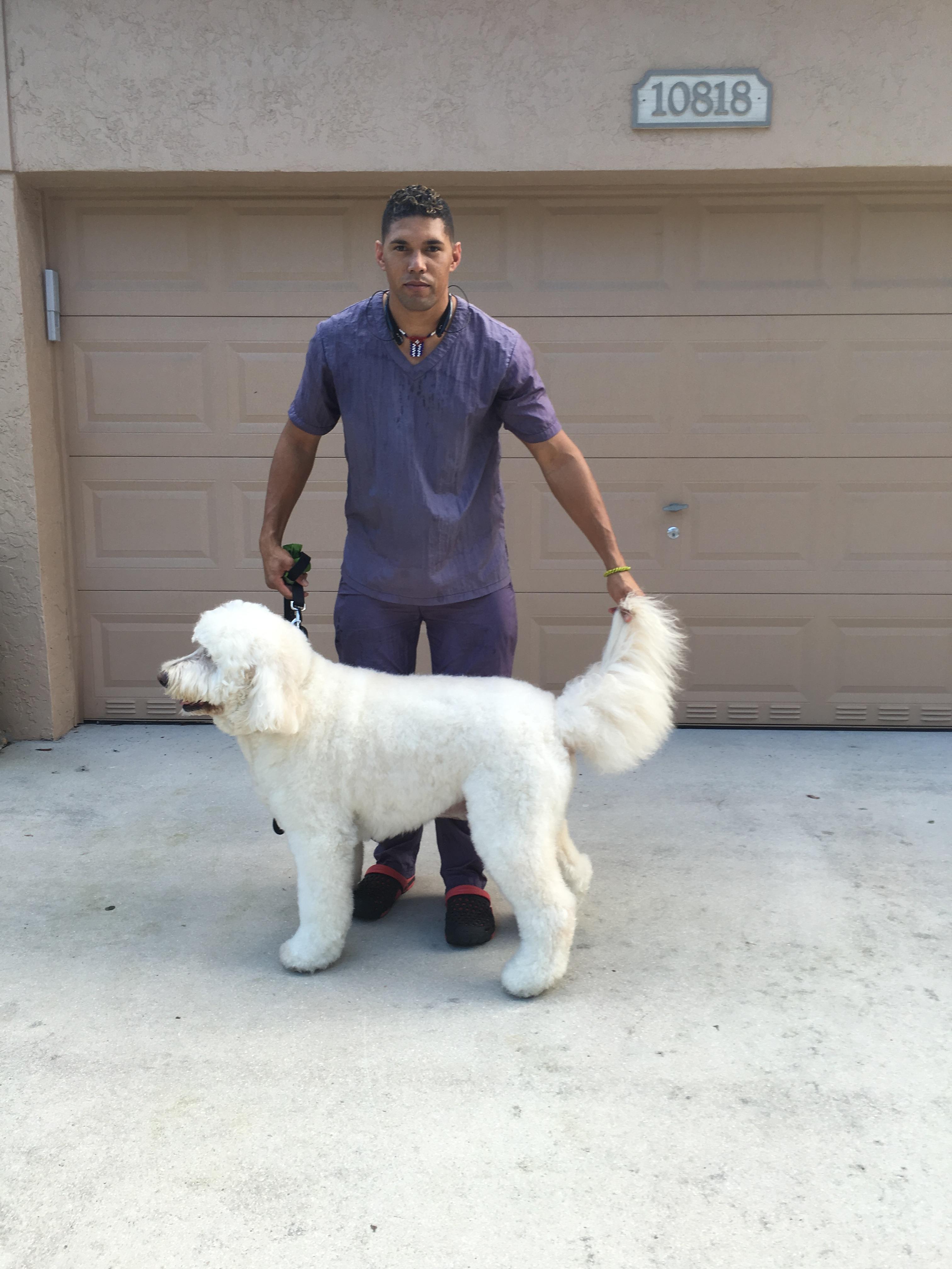 The Grooming Waggin