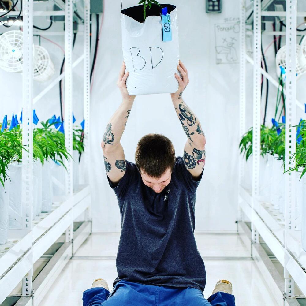 Northeast Alternatives Dispensary - Fall River Image