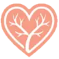 Vein Treatment Centers of New Jersey