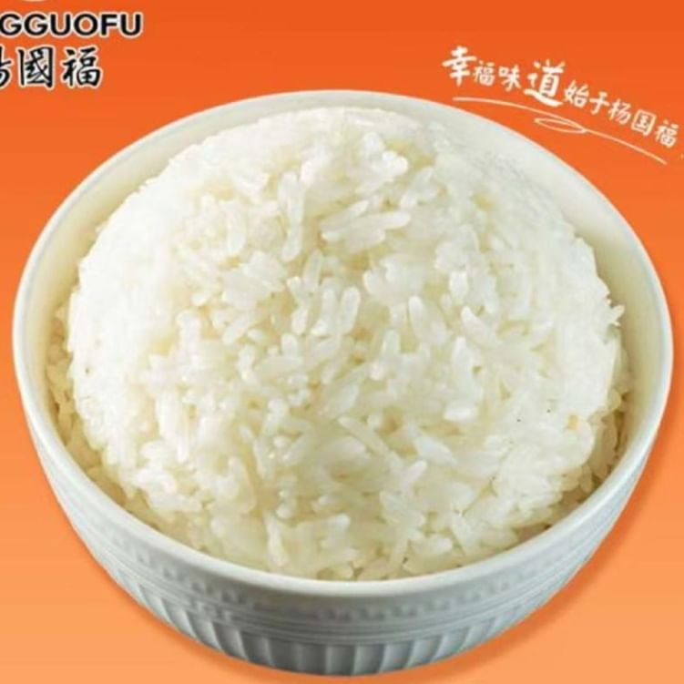 Rice - 白饭