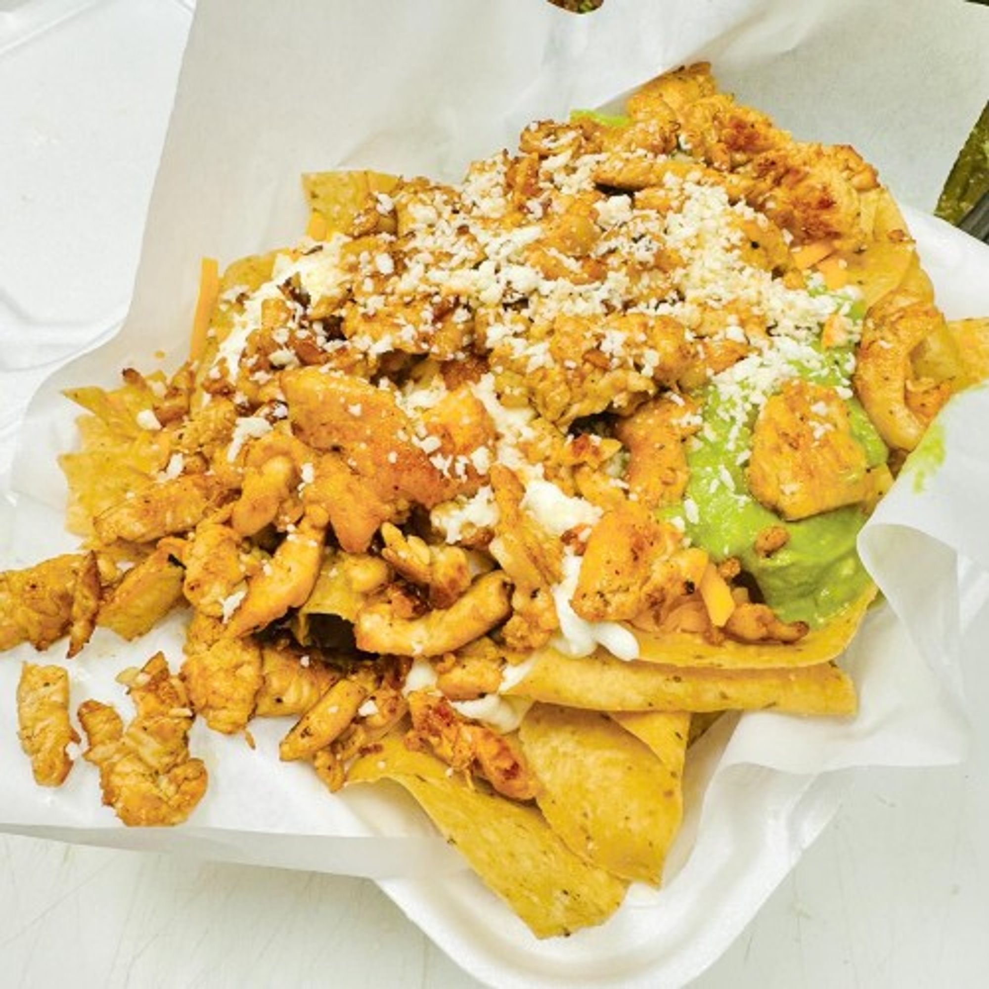 Pollo Asado Chips