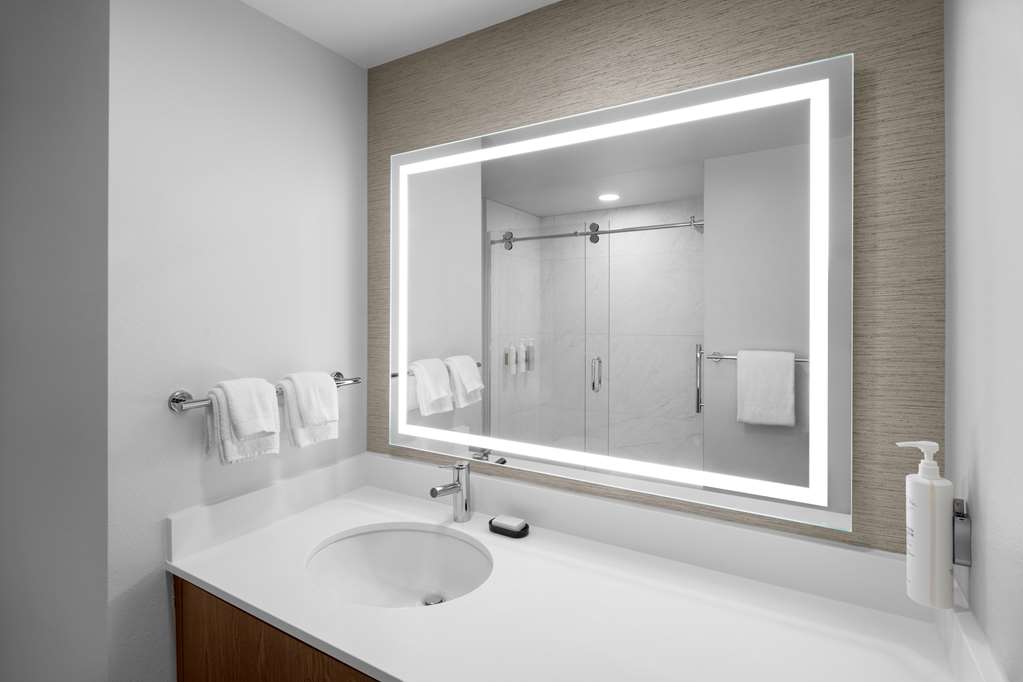 Embassy Suites by Hilton Madison Downtown Image