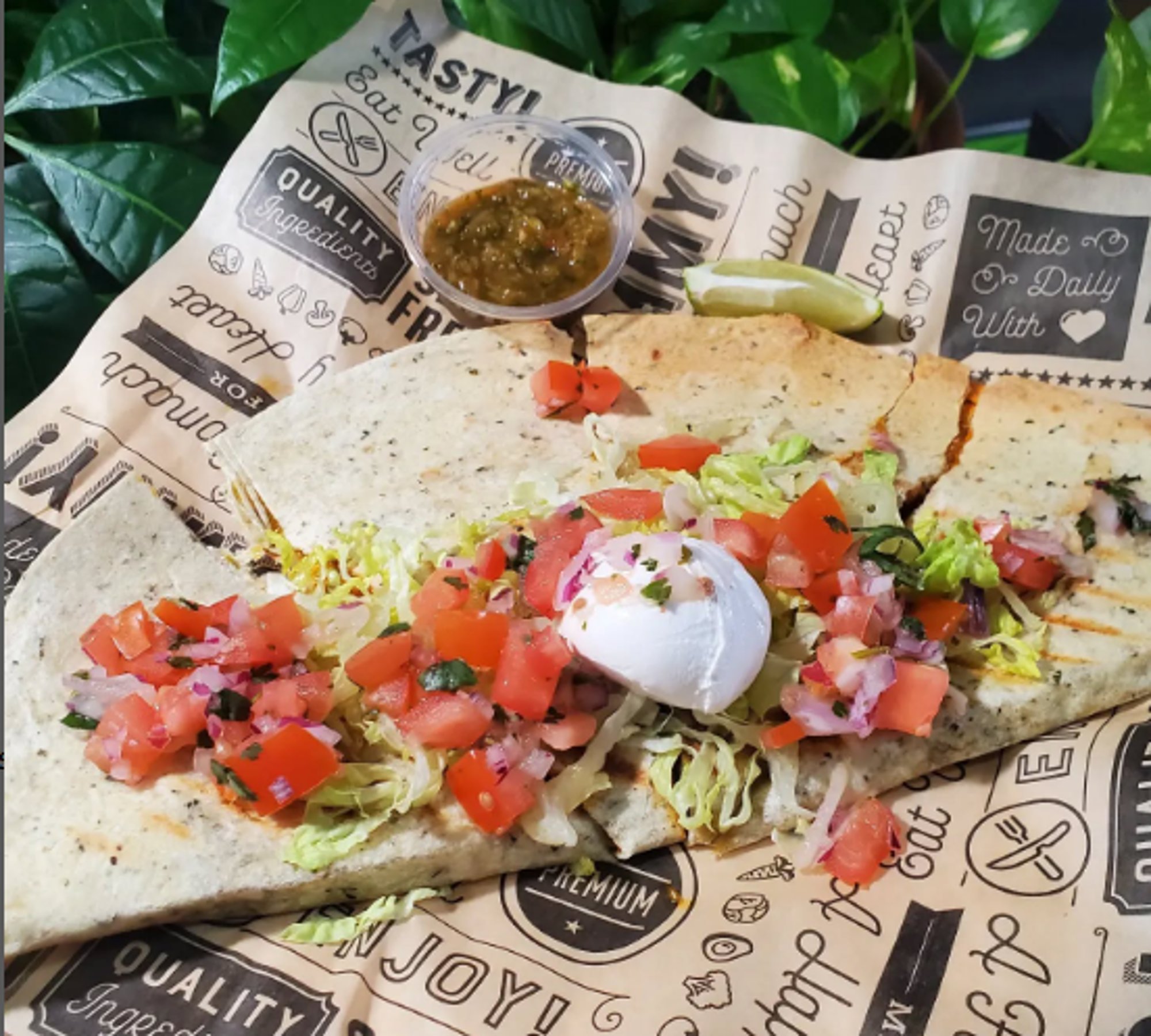 Cheese Quesadilla