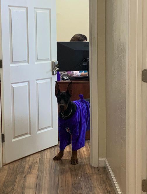 Farmers Insurance - Maria Britton Image