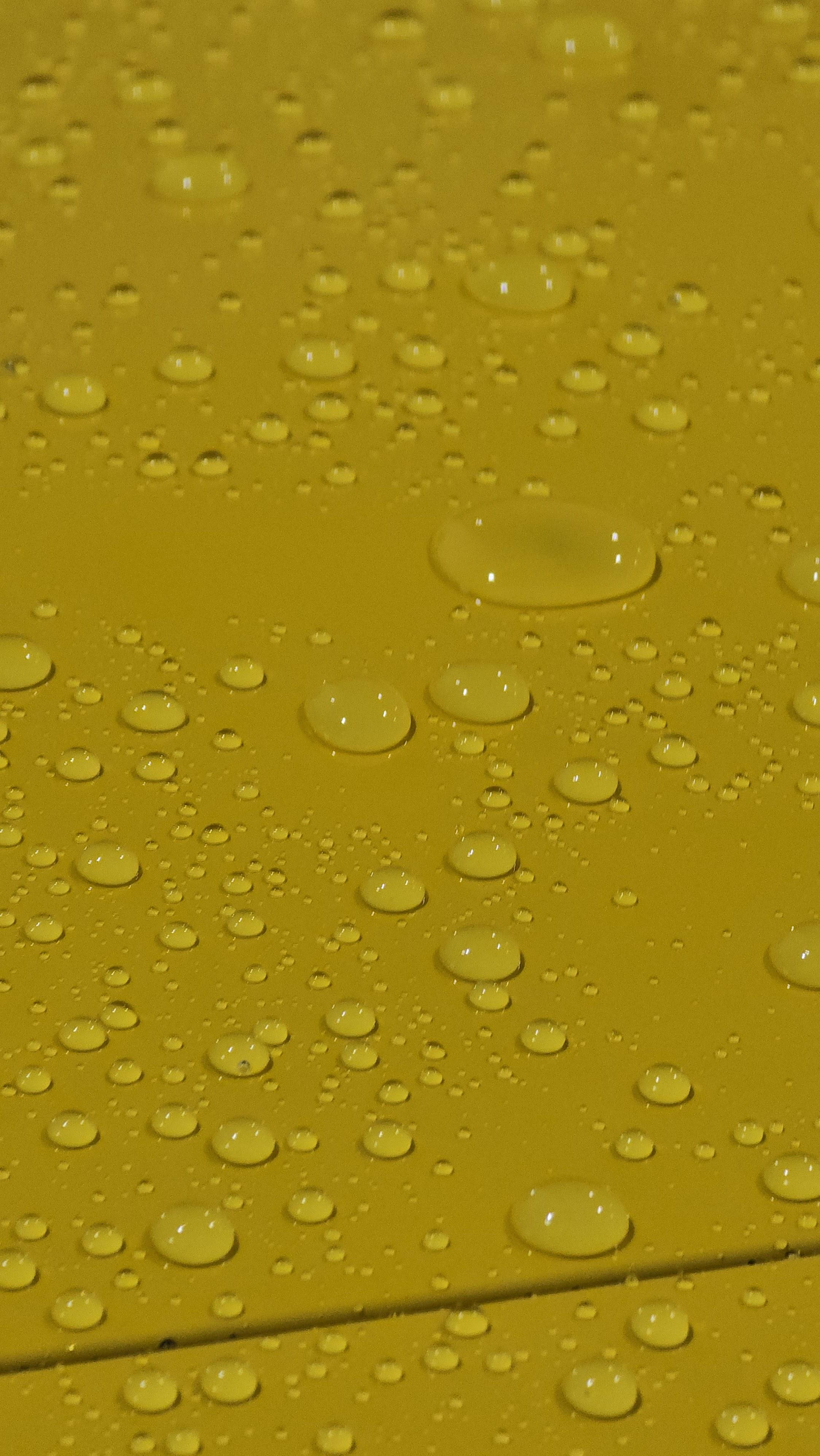 Owner’s Pride Auto Spa Orlando Image