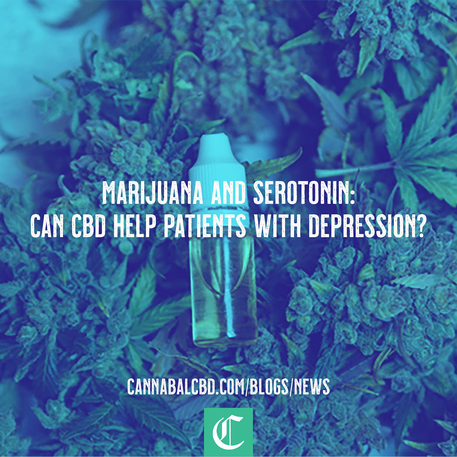 Marijuana and Serotonin: Can CBD Help Patients with Depression?