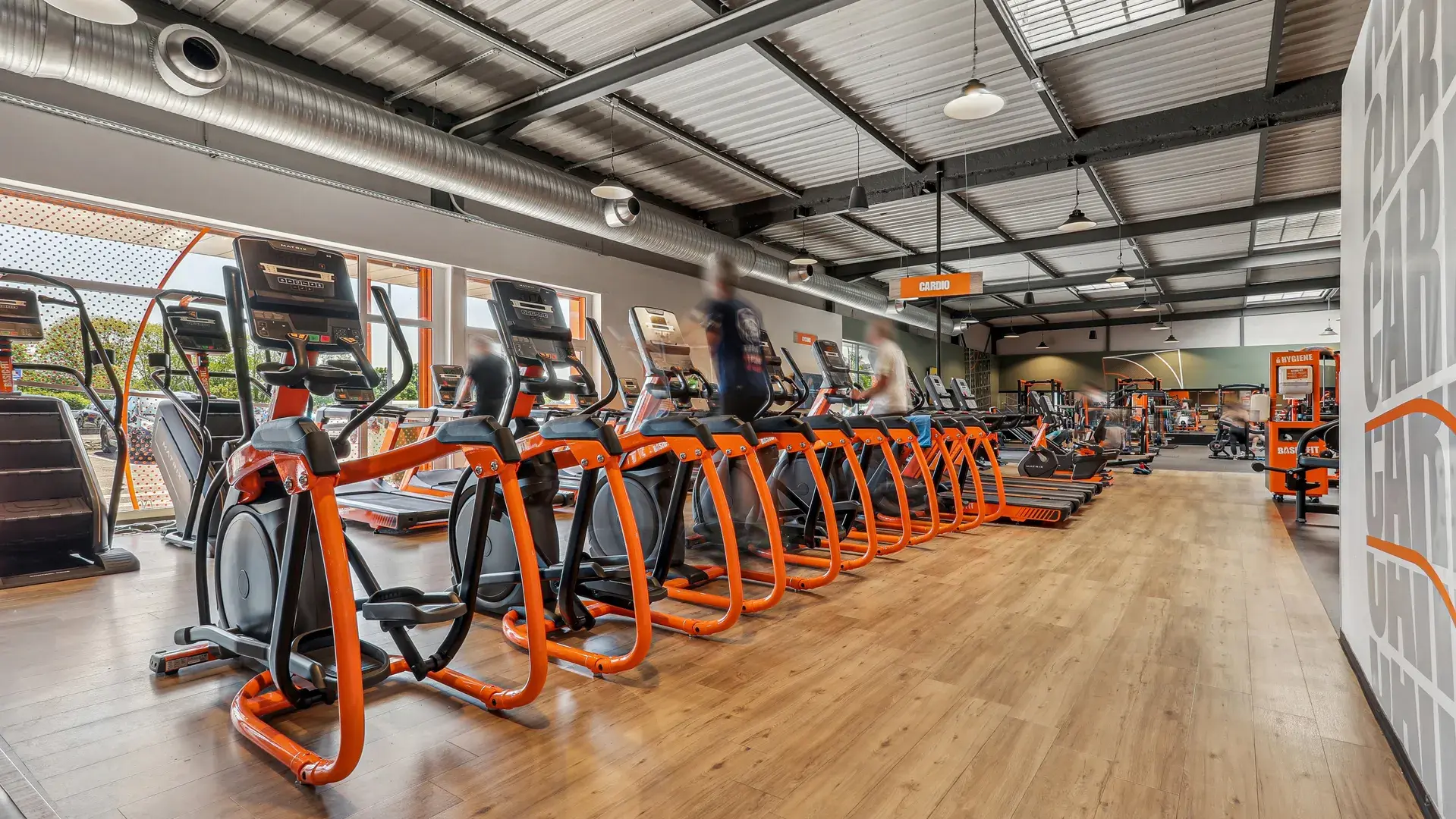 Miniature de la galerie