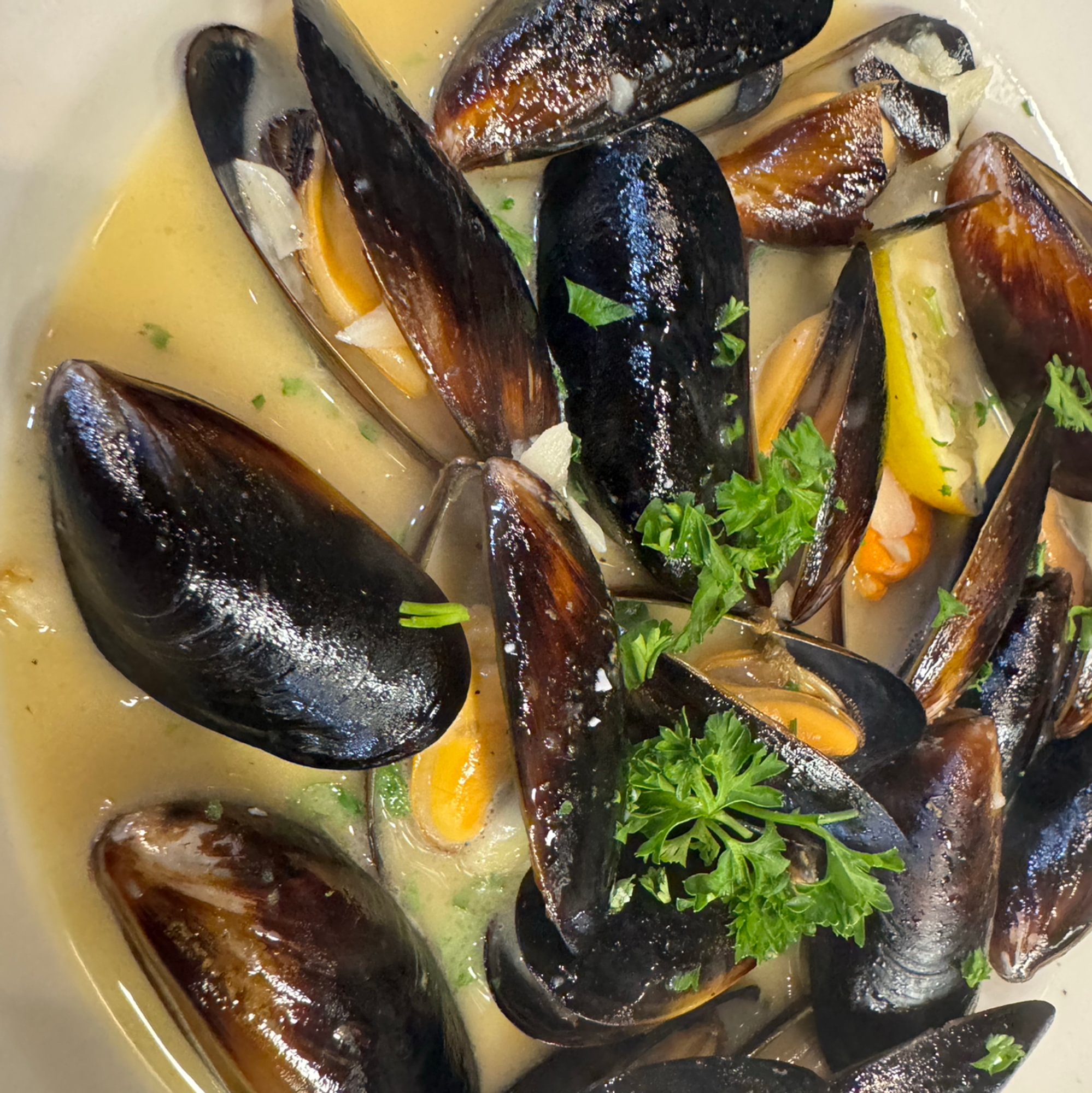 Mussels Appetizer